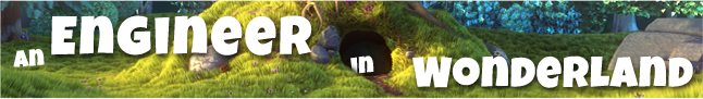 Engineer In Wonderland